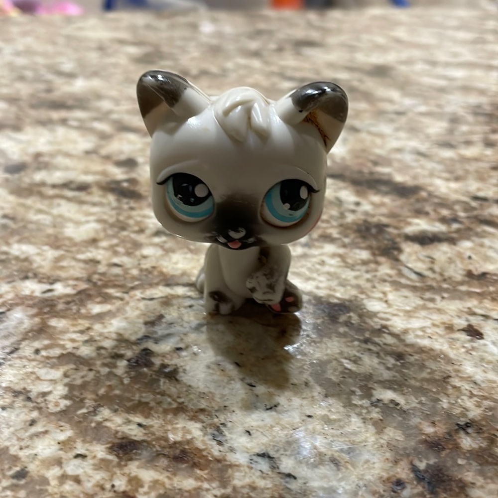 Littlest Pet Shop Lot #Magic Motion Cat TONGUE & ARM MOVE Black Gray Blue Eyes